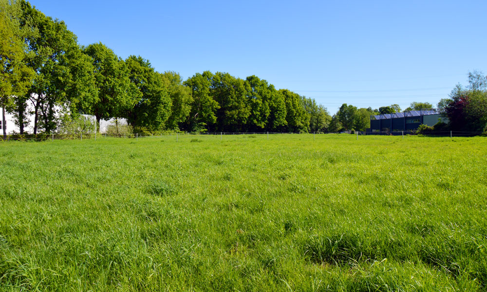 Landwirtschaftliche Fläche Emsdetten
